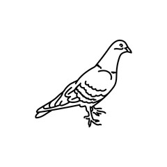 Fototapeta na wymiar Dove bird black line icon.