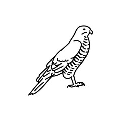 Hawk bird black line icon.