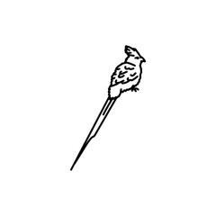 Mousebird black line icon.