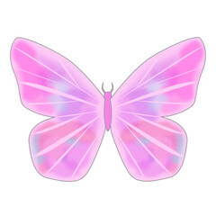 butterfly isolated on white