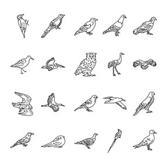 Birds black line icons set.