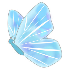 light blue butterfly