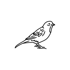 Sparrow bird black line icon.