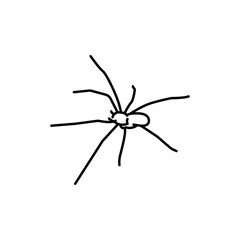 Brown recluse spider black line icon.