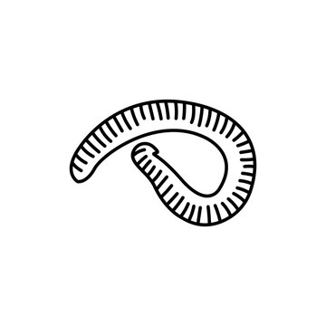 African centipede black line icon.
