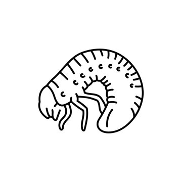 Maybug indect black line icon.