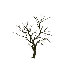 Dry dead tree silhouette. Dry tree. Vector bare old dry dead tree silhouette without leaf
