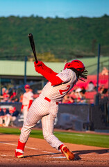 baseball player dreadlocks
