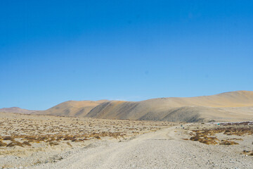 Fototapeta na wymiar peaceful wid life in himalaya mountain area, view from ladakh, india