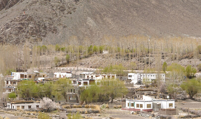 Obraz premium peaceful wid life in himalaya mountain area, view from ladakh, india