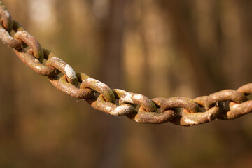 Rusty chain in nature: a weathered relic, worn links entangled with vibrant foliage. Time's decay reveals a poignant beauty.