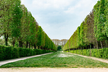 gardens of versailles