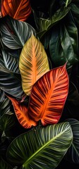 natural background with lush exotic tropical plants close-up view, ai generated image