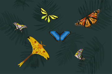 Group of Tropical Butterflies on a Dark Background