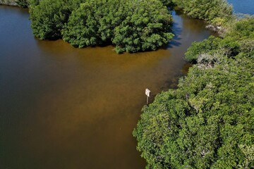 An Aerial Drone Photo of Florida Wetlands and coastal mangroves Tampa, Florida