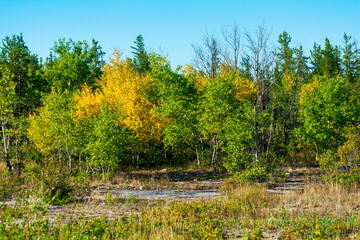 Beautiful Fall Colors, Northwest Territories, Canada