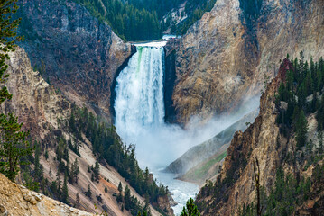 Lower Falls of the Yellowstone from Artist Point