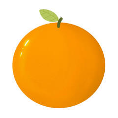 Fresh orange isolated element