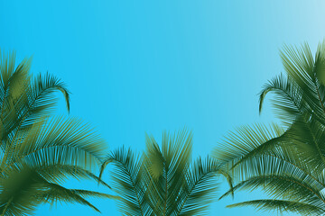 Fototapeta na wymiar Coconut palm leaves on a clear blue sky background illustration vector