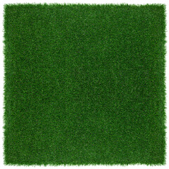 Meadow green grass surface. Turf blank top view background isolated on white. Template or Banner...