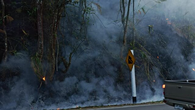 Toxic Drive: Cars Encounter Airborne Consequences of a Ground Fire in the Forest during the Dry Season, as Jungle Grasses Ignite Spontaneously and Fire Spreads Uncontrolled