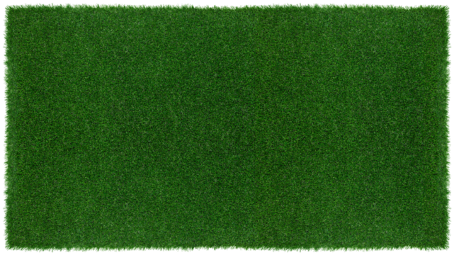 Meadow green grass surface. Turf blank top view background isolated on white. Template or Banner for gardening shop or online shopping, environmental concept