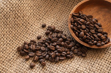 コンゴ産コーヒー豆　ベビーチーター