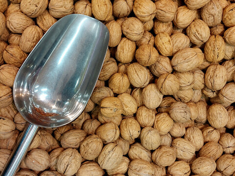 oala to pick walnuts with bulk shell