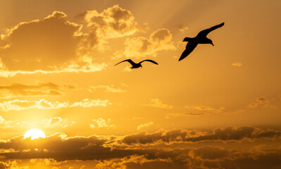 Fototapeta na wymiar morning sunrise over atlantic ocean in virginia beach virginia