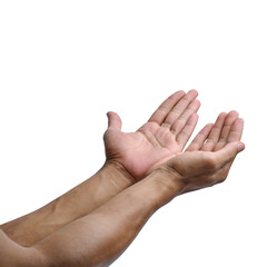 Prayerful Hands: Reverence against White or Transparent Background