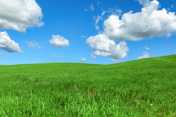 Green grass and blue sky with white fluffy clouds, beauty nature background. Perfect summer greenery field, hill, grassland. Nature environment landscape, lush green grass meadow, blue sky