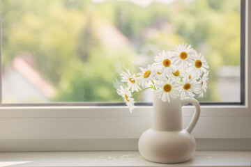 chamomile flowers in white jug on window sill