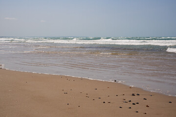 North sea shore landscape West Coast in Denmark. Nature, environmental conservation, ecotourism.