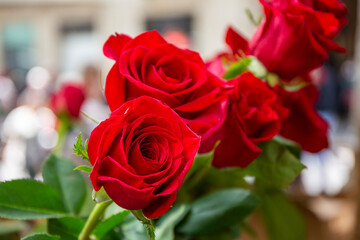 Red roses for the feast of Sant Jordi in Barcelona, Catalonia