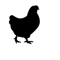 Vector Chicken Silhouette