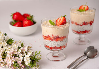 Food photography of oatmeal, oat, chia seeds pudding, strawberry, mint, yogurt, detox, energy, nutrient