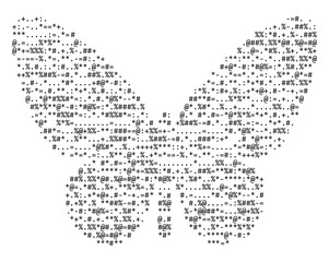Source code, shape butterfly, vector illustration