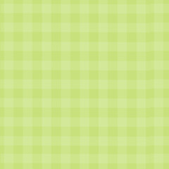 Gingham Pattern Light green gingham check fabric texture