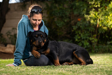 Gorgeous Rottweiler being an absolute teddy bear looking for cuddles with mommy, being very...