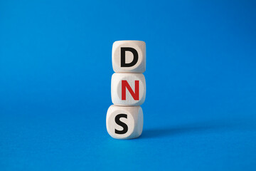 DNS -Domain Name Server - Consumer Price Index symbol. Concept word DNS on wooden cubes. Beautiful...
