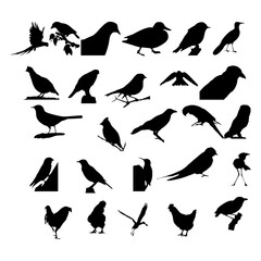 Collection of silhouettes of birds. Birds silhouettes vector on isolated background.