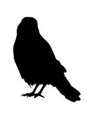 VECTOR cute crow silhouette for logos