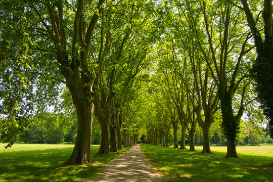 Park von Schoppenwihr bei Colmar im Elsass