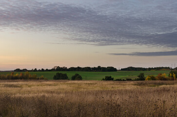 Naklejka premium Morning Landscape: Green Field with a Blue Sky, Misty Haze Hovering above the Ground