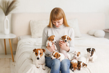 Young woman with her cute Jack Russell Terrier in a chair at home. white pet