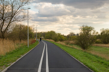 Skateboarders' Paradise: Sunset Road in the Park with Bike and Rollerblade Lanes, Close-Up View of the Central Path with Two White Lanes and a Curving Horizon