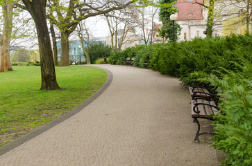 Springtime Path: A Scenic Park Road with a Blooming Bench