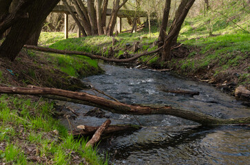 Urban Spring Serenity: A 3-Meter Wide Stream Meandering Through the City