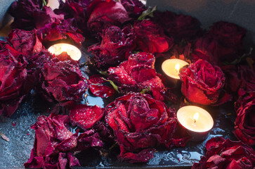 Crimson Beauty: Freshly Cut Red Roses, Delicate Petals Adorned with Glistening Dewdrops, Arranged on a Table with Flickering Candles