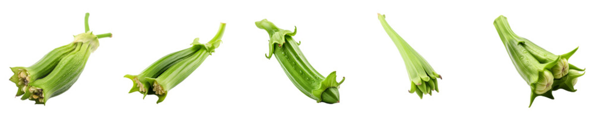 Set of okra isolated on transparent background	